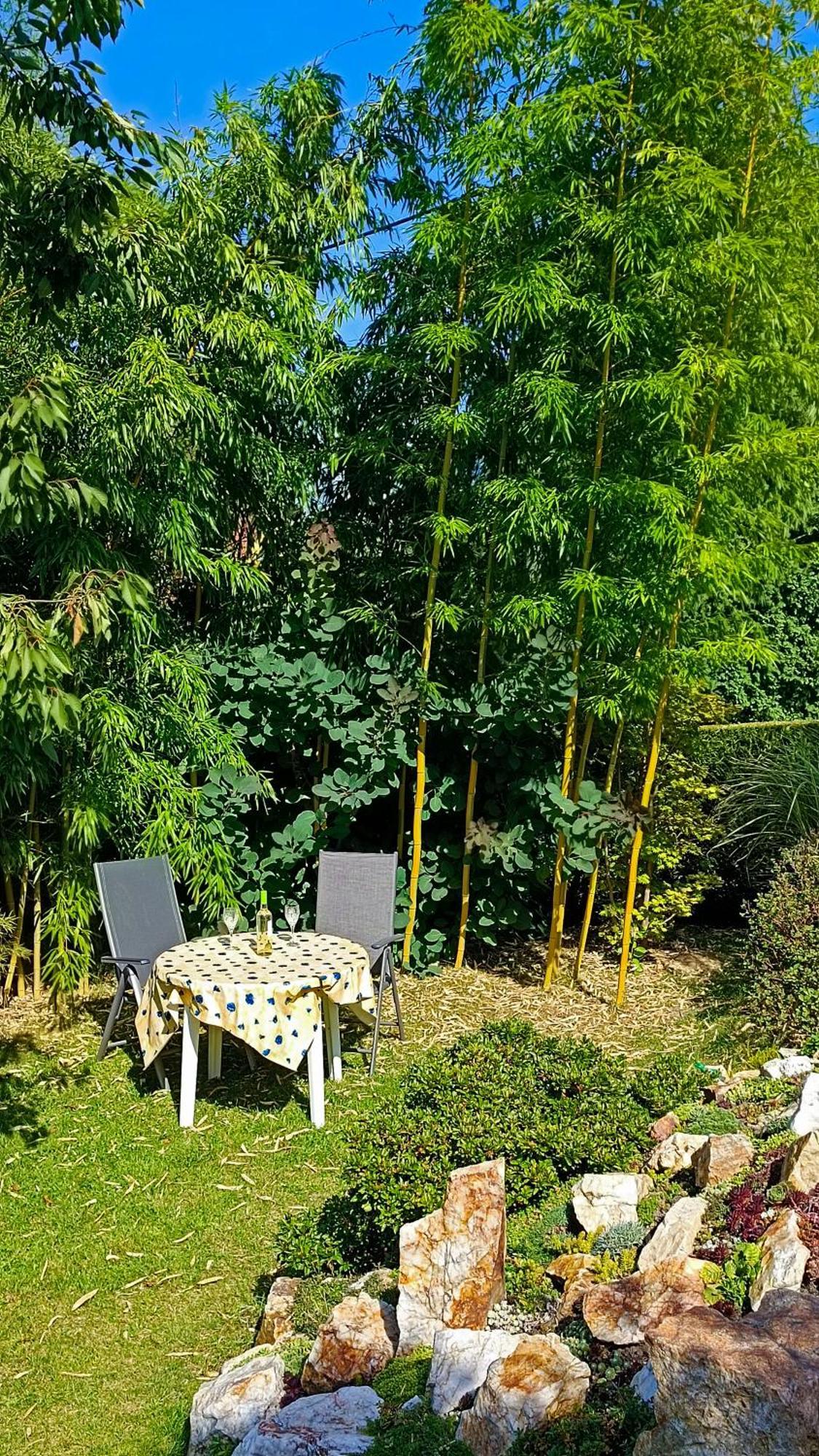 Ferienhaus Und Ferienwohnung "Am Waldsaum" Курорт-Гориш Экстерьер фото